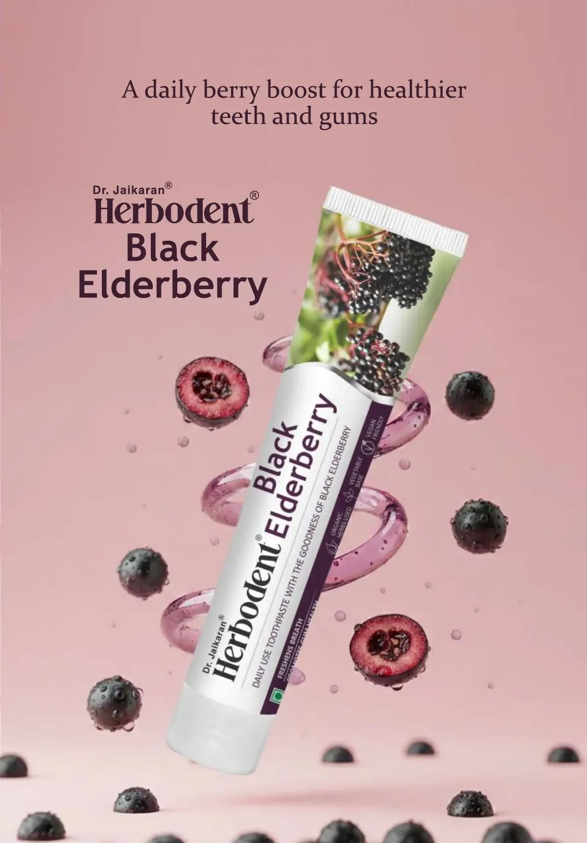 Black Herbodent Elderberry herbal toothpaste