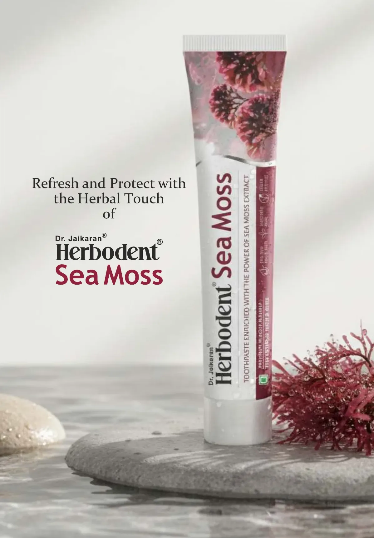 Herbodent Sea Moss herbal toothpaste