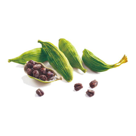 Cardamom