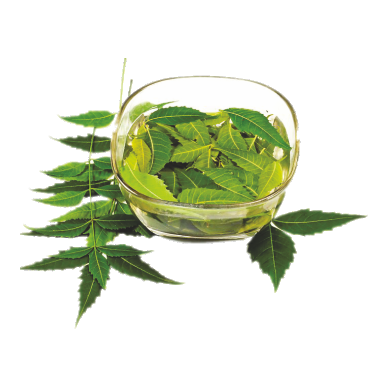 Neem