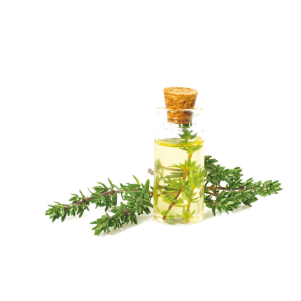 Thyme Oil
