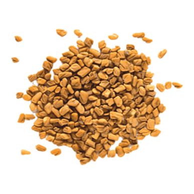 Fenugreek Seeds