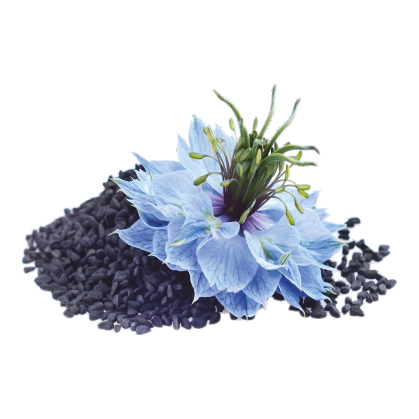 Black Seed