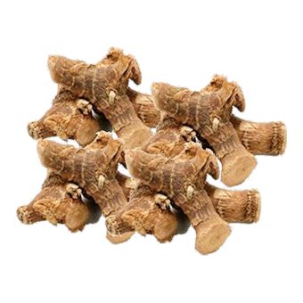 Kulanjan