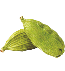 Cardamom