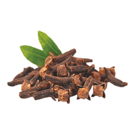Clove