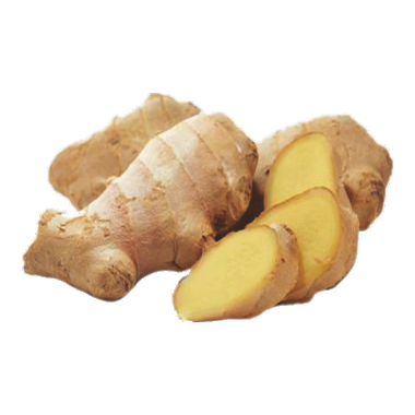 Ginger