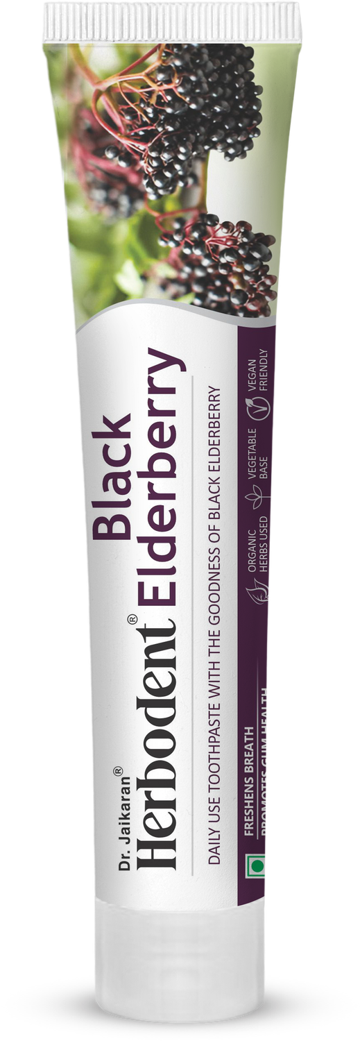Black Elderberry